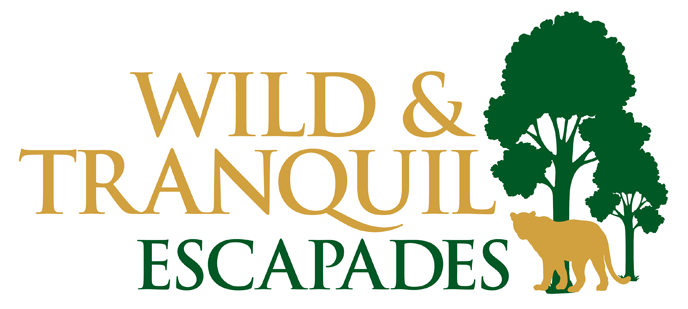 Wild And Tranquil Escapades Pvt Ltd